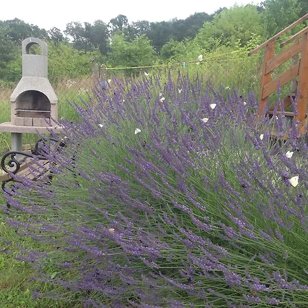 Gospodarstwo wiejskie Zrubovy Domcek Zvoncek